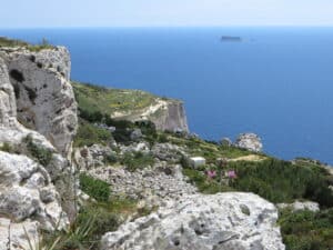 Cliffside coastal view of Malta's countryside and sea in summer light